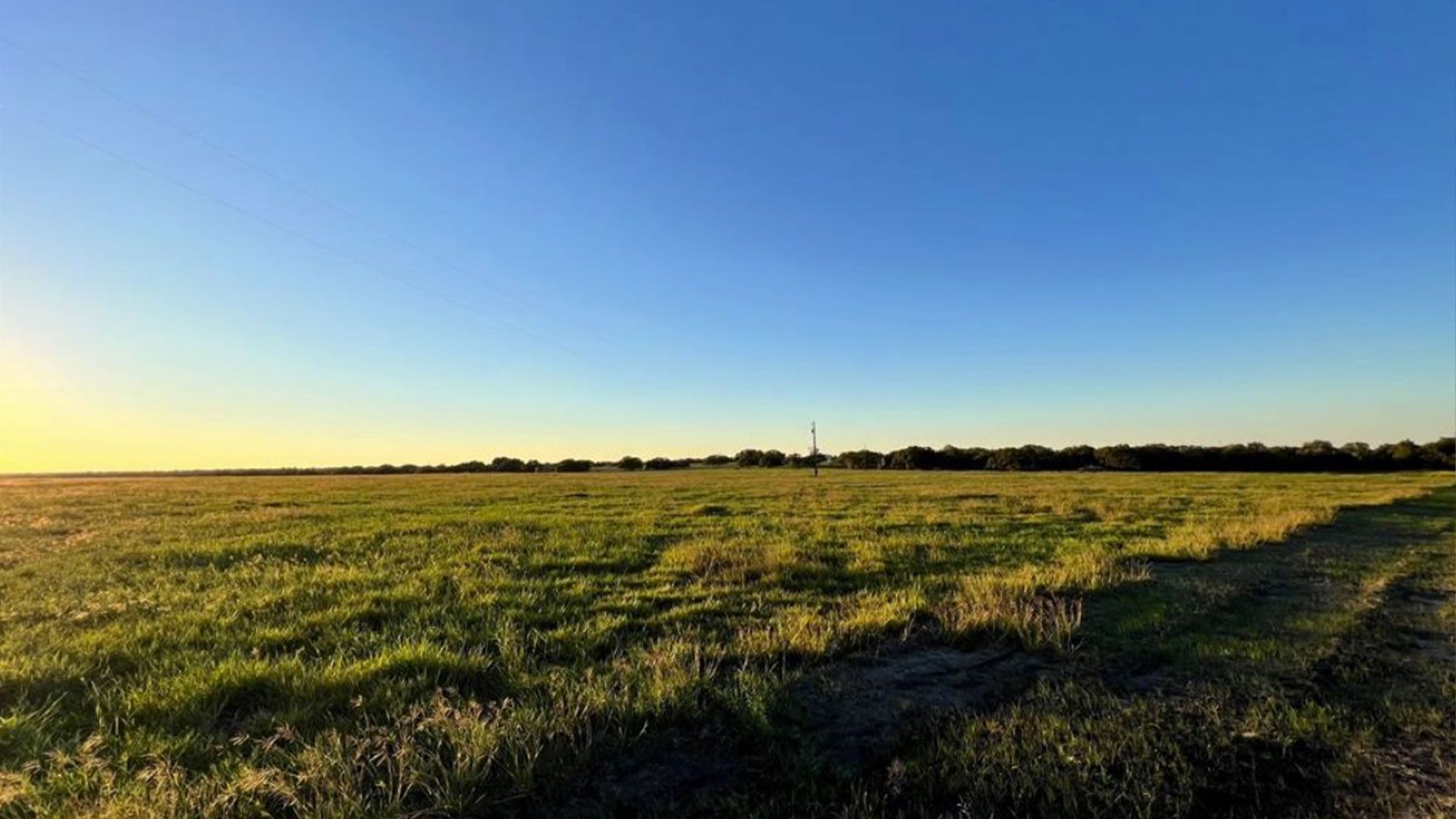 Land For Sale in Schulenburg The DGV Group